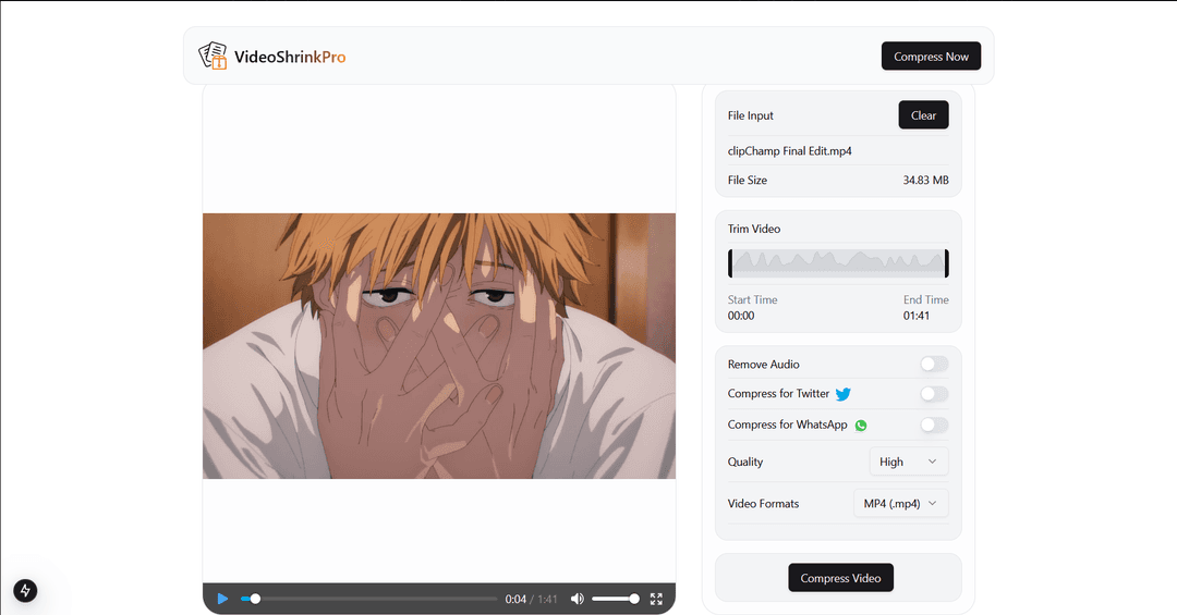 VideoShrinkPro project screenshot